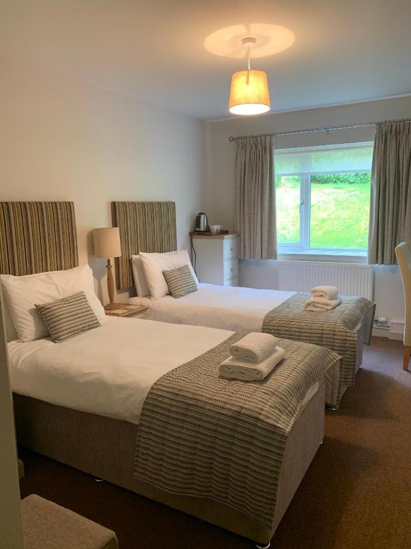 Llwyngwair Manor, Newport, Pembrokeshire Hotel Newport  Eksteriør billede